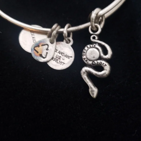 NWT Alex & Ani Rafaelian Silver Snake & Swarovski Crystal 2017 - Picture 10 of 13